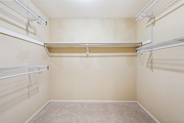 2609 S Quebec St S Unit 20, Denver, CO 80231 - spacious closet featuring carpet floors