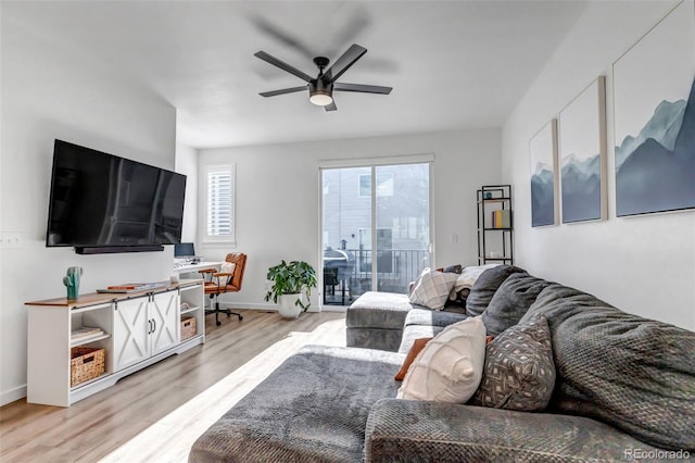 living room with ceiling fan and light wood-type flooring