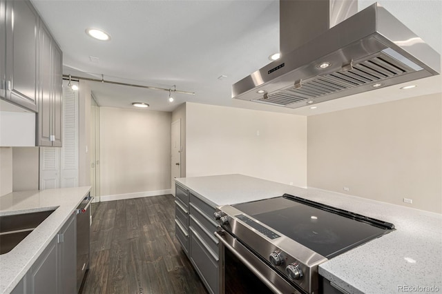 kitchen with ventilation hood, appliances with stainless steel finishes, gray cabinets, dark wood-style flooring, and recessed lighting
