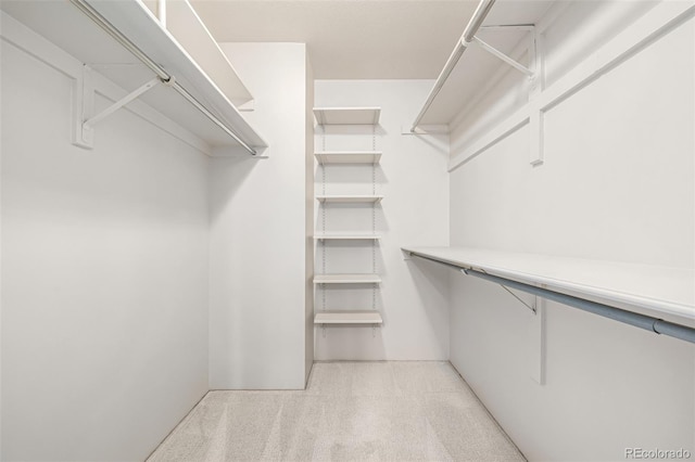 walk in closet featuring light colored carpet