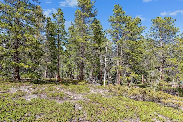 Rock Lake Rd, Ward, CO 80481 - photo 3