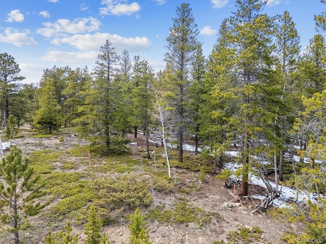 Rock Lake Rd, Ward, CO 80481 - photo 4