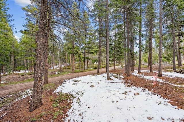 Rock Lake Rd, Ward, CO 80481 - photo 6