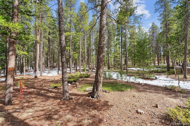 Rock Lake Rd, Ward, CO 80481 - photo 7