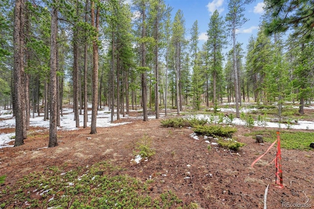 Rock Lake Rd, Ward, CO 80481 - photo 8