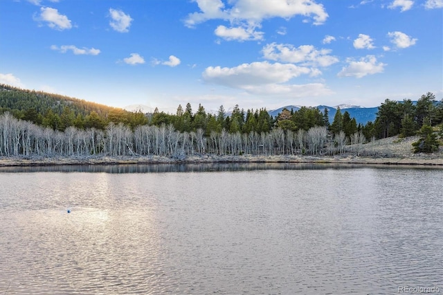 Rock Lake Rd, Ward, CO 80481 - photo 9