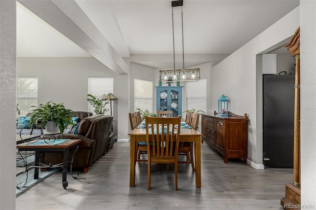 dining room featuring a wealth of natural light and dark hardwood / wood-style flooring