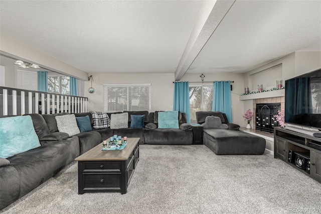 living room featuring a wealth of natural light, carpet flooring, and a textured ceiling