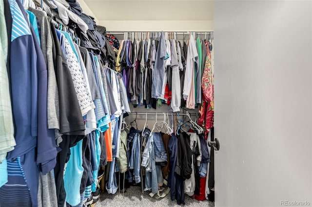 walk in closet featuring carpet floors