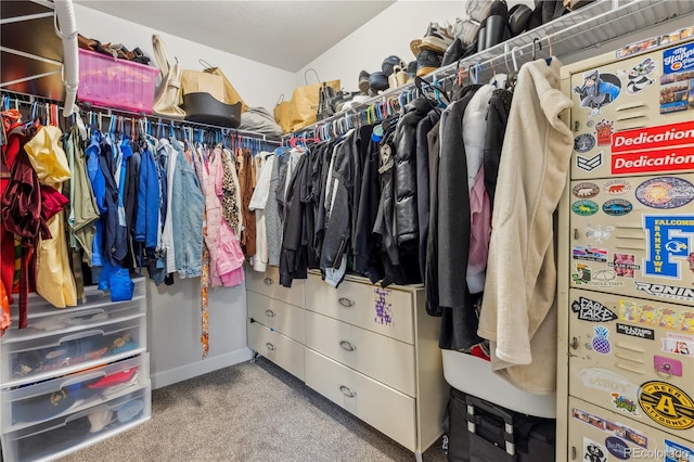 6616 Amur Ln, Castle Rock, CO 80108 - spacious closet with carpet floors
