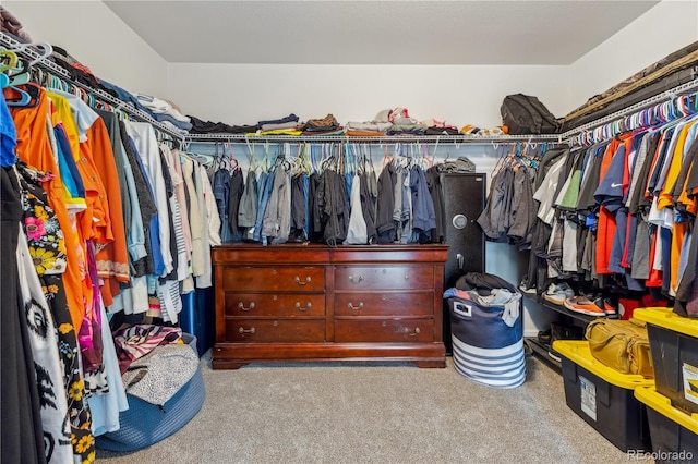 6616 Amur Ln, Castle Rock, CO 80108 - walk in closet featuring carpet