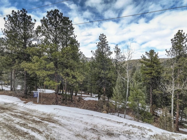 Listing photo 3 for 456 Lo Meadow Ln, Bailey CO 80421