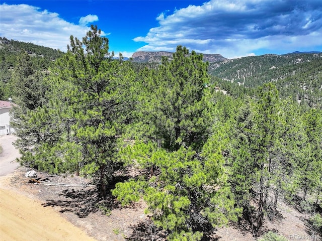 456 Lo Meadow Ln, Bailey, CO 80421 - photo 1