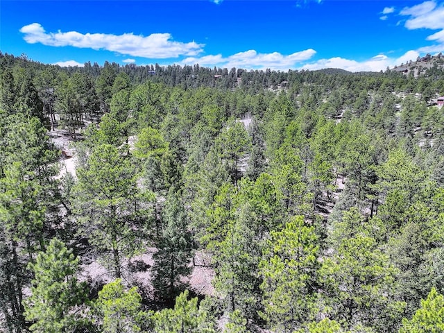 456 Lo Meadow Ln, Bailey, CO 80421 - photo 2
