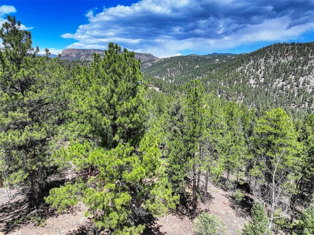 456 Lo Meadow Ln, Bailey, CO 80421 - photo 3