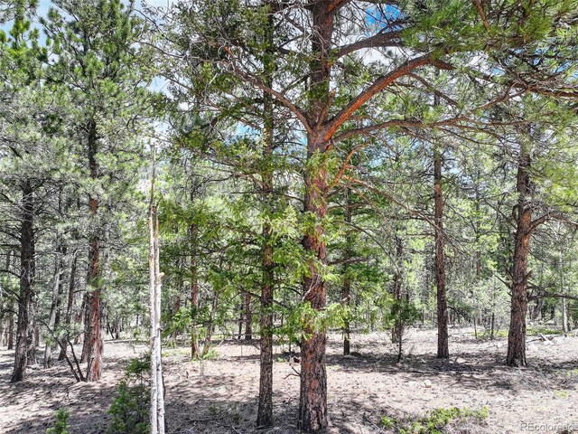 456 Lo Meadow Ln, Bailey, CO 80421 - photo 4