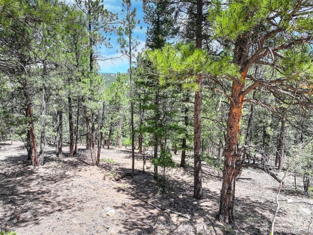 456 Lo Meadow Ln, Bailey, CO 80421 - photo 5