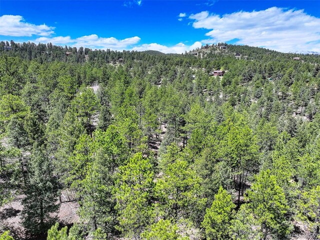 456 Lo Meadow Ln, Bailey, CO 80421 - photo 6
