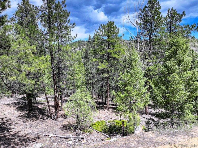 456 Lo Meadow Ln, Bailey, CO 80421 - photo 7