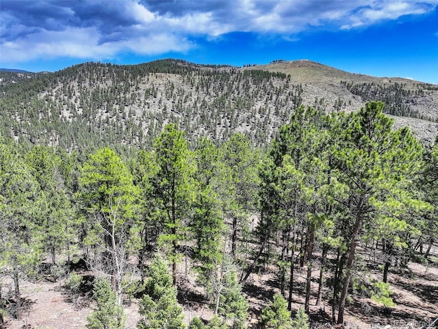 456 Lo Meadow Ln, Bailey, CO 80421 - photo 9