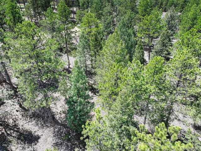 456 Lo Meadow Ln, Bailey, CO 80421 - photo 10