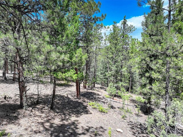 456 Lo Meadow Ln, Bailey, CO 80421 - photo 11