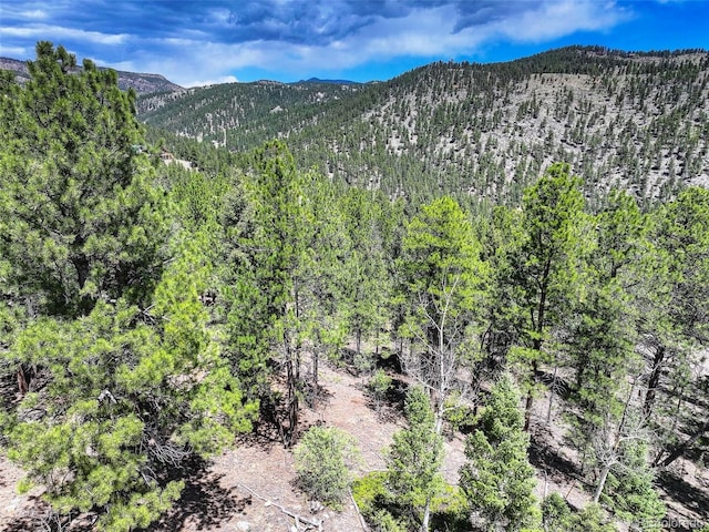 456 Lo Meadow Ln, Bailey, CO 80421 - photo 12