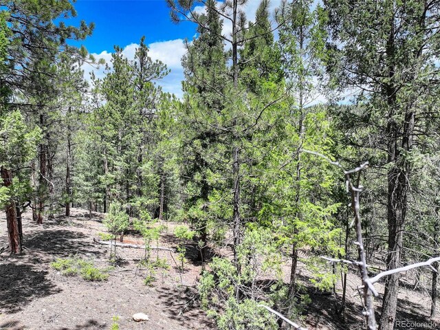 456 Lo Meadow Ln, Bailey, CO 80421 - photo 13