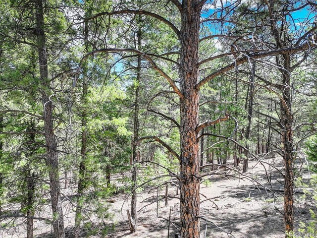 456 Lo Meadow Ln, Bailey, CO 80421 - photo 14