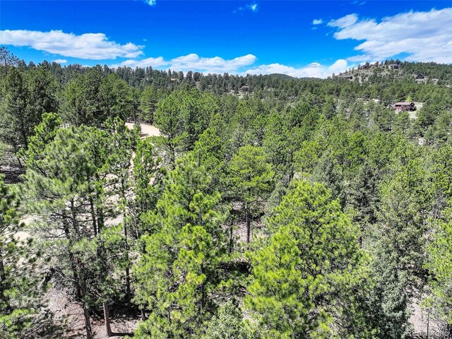456 Lo Meadow Ln, Bailey, CO 80421 - photo 15