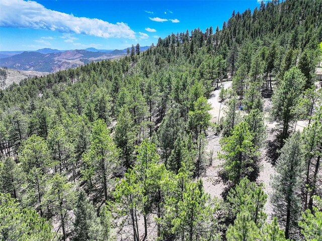 456 Lo Meadow Ln, Bailey, CO 80421 - photo 16
