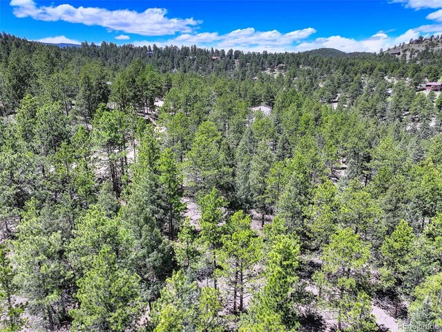 456 Lo Meadow Ln, Bailey, CO 80421 - photo 17