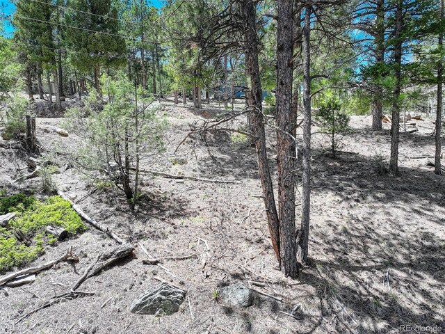 456 Lo Meadow Ln, Bailey, CO 80421 - photo 18