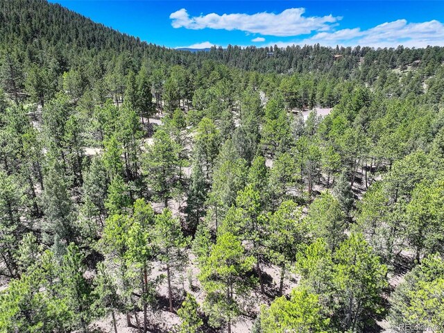456 Lo Meadow Ln, Bailey, CO 80421 - photo 19