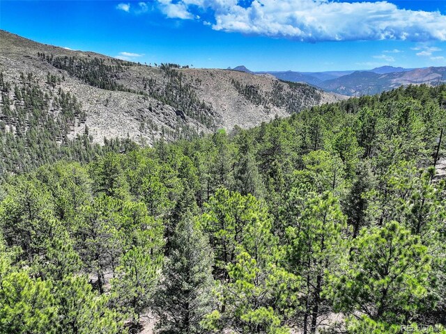 456 Lo Meadow Ln, Bailey, CO 80421 - photo 20