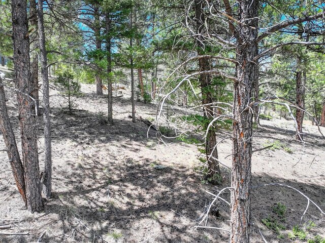 456 Lo Meadow Ln, Bailey, CO 80421 - photo 21