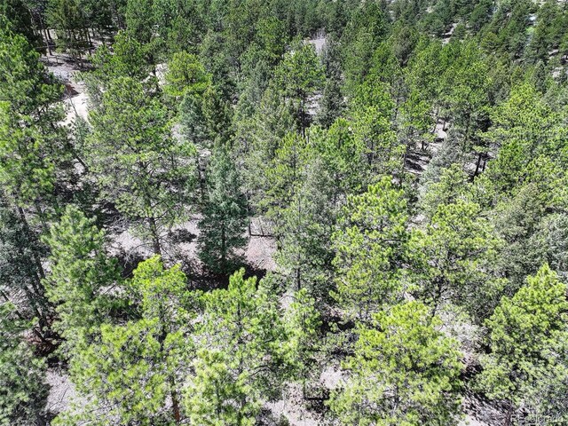 456 Lo Meadow Ln, Bailey, CO 80421 - photo 22