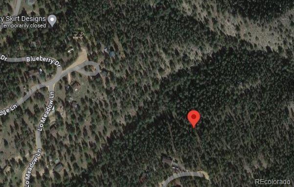 456 Lo Meadow Ln, Bailey, CO 80421 - photo 24