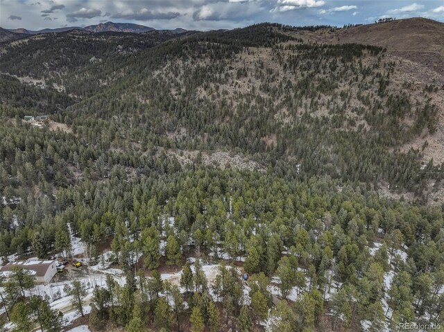 456 Lo Meadow Ln, Bailey, CO 80421 - photo 25