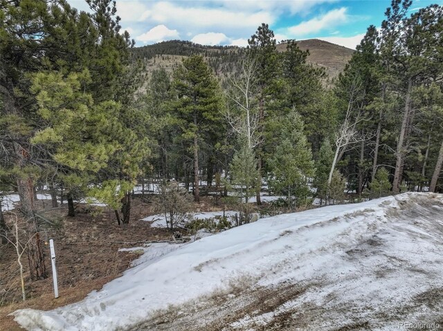 456 Lo Meadow Ln, Bailey, CO 80421 - photo 26