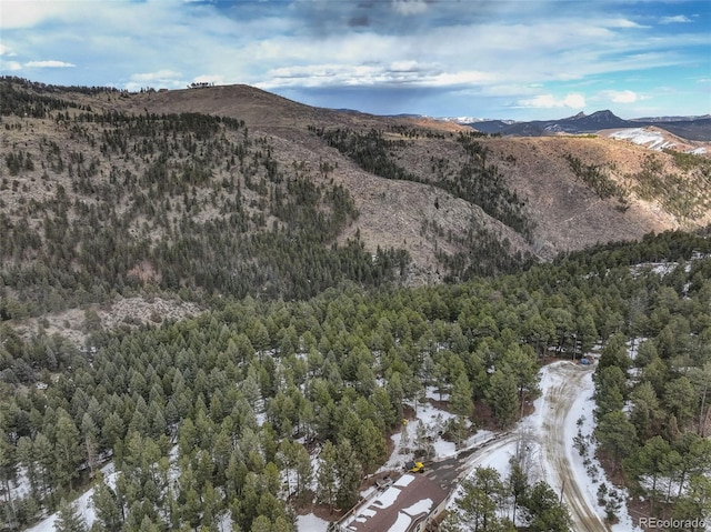 456 Lo Meadow Ln, Bailey, CO 80421 - photo 27
