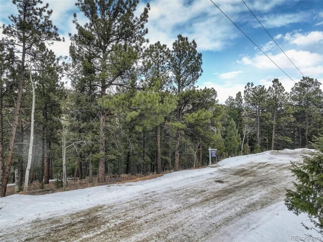456 Lo Meadow Ln, Bailey, CO 80421 - photo 28