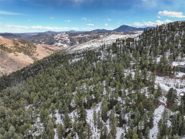 456 Lo Meadow Ln, Bailey, CO 80421 - photo 29