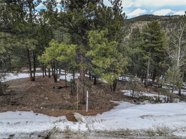 456 Lo Meadow Ln, Bailey, CO 80421 - photo 31