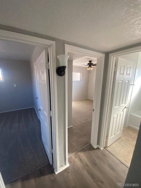 hallway featuring carpet and a textured ceiling