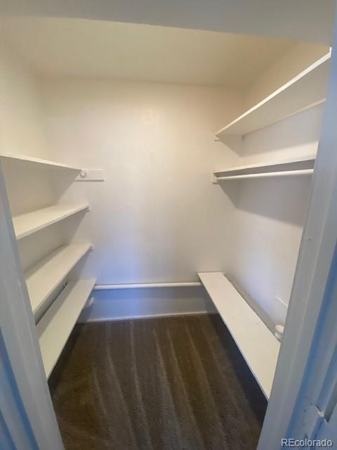 walk in closet with dark colored carpet