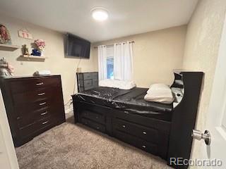7115 Harold St Unit 2, Fort Lupton, CO 80621 - photo 9