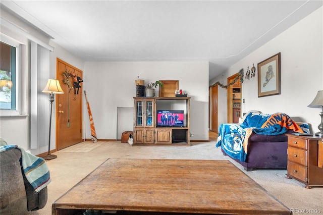 living area featuring carpet flooring