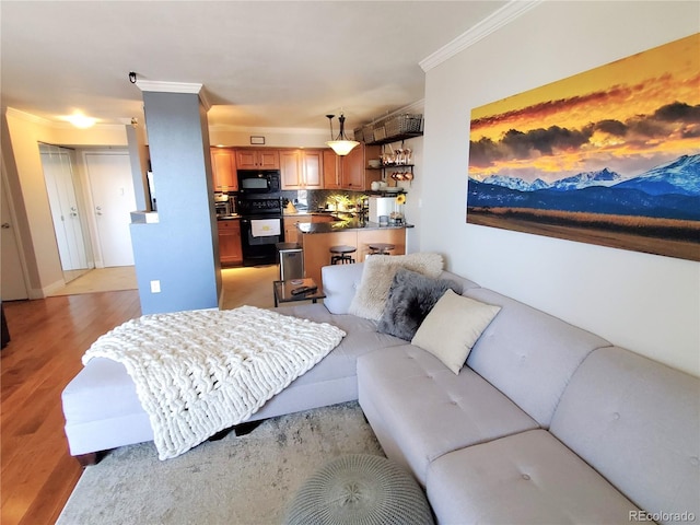 living room with light hardwood / wood-style floors and crown molding