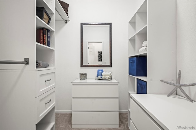 walk in closet featuring carpet